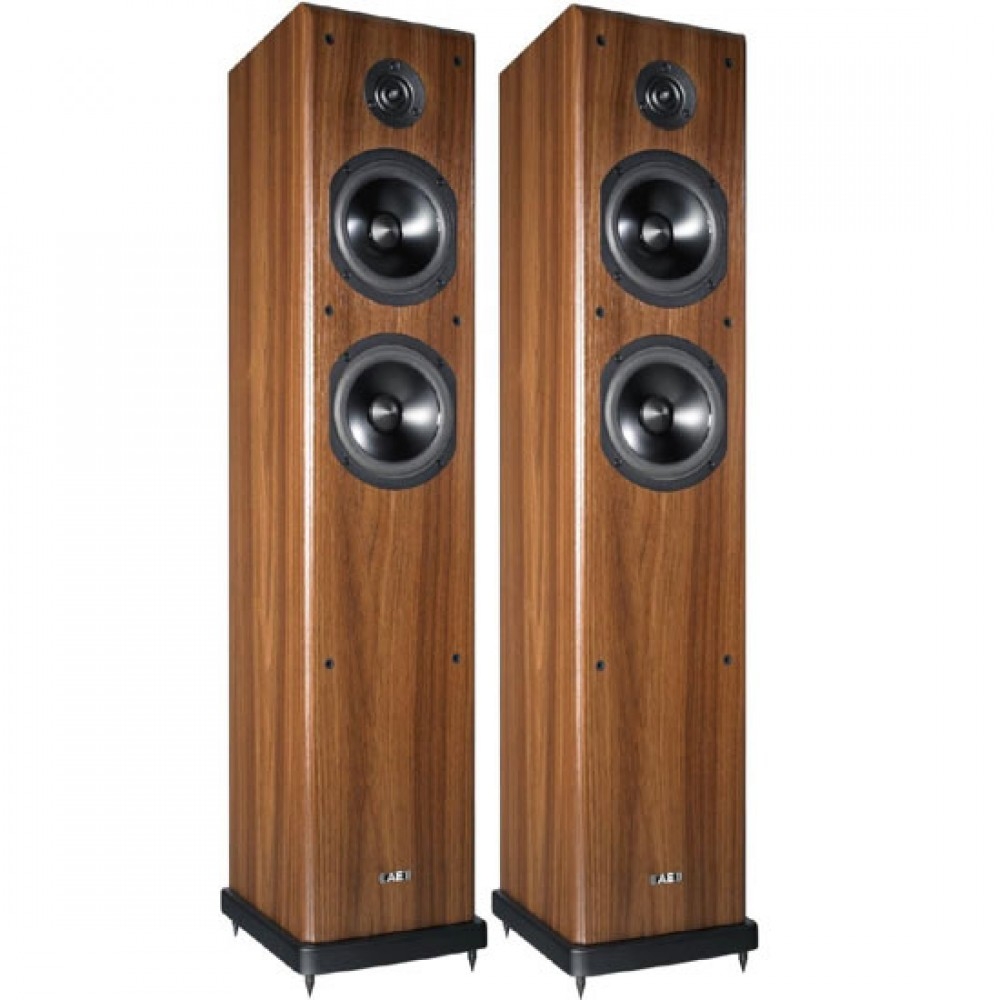 ACOUSTIC ENERGY Aegis Neo-3