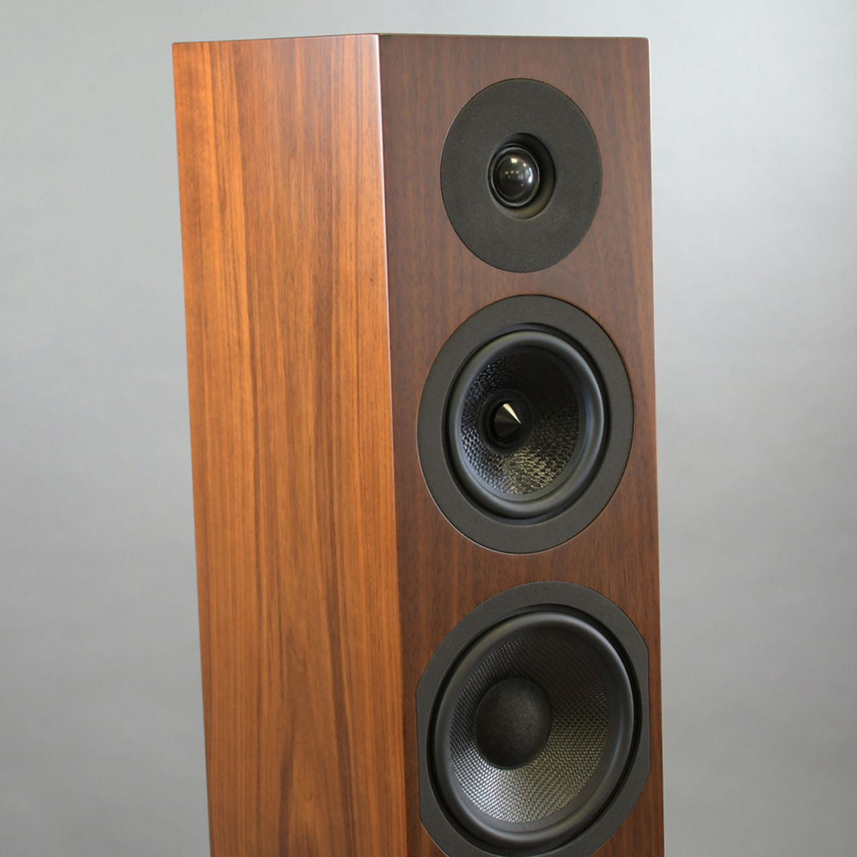 DAVIS Courbet n°7 Walnut