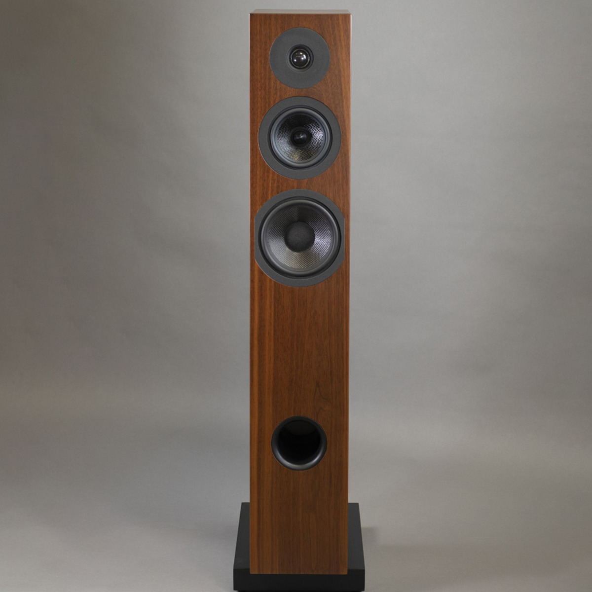 DAVIS Courbet n°7 Walnut