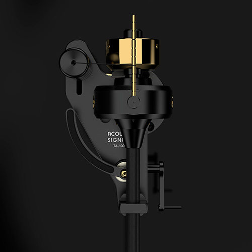 ACOUSTIC SIGNATURE TA1000 HEAVEN AUDIO