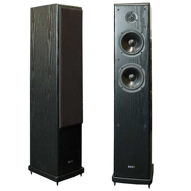 ACOUSTIC ENERGY Aegis Neo-3