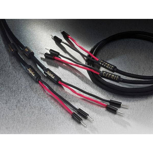 Esprit Alpha Speaker Cable 2M HEAVEN AUDIO