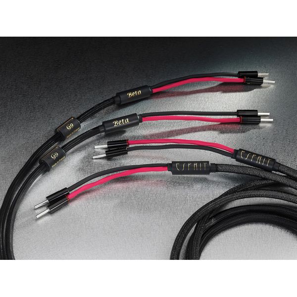 Esprit Beta Speaker Cable HEAVEN AUDIO