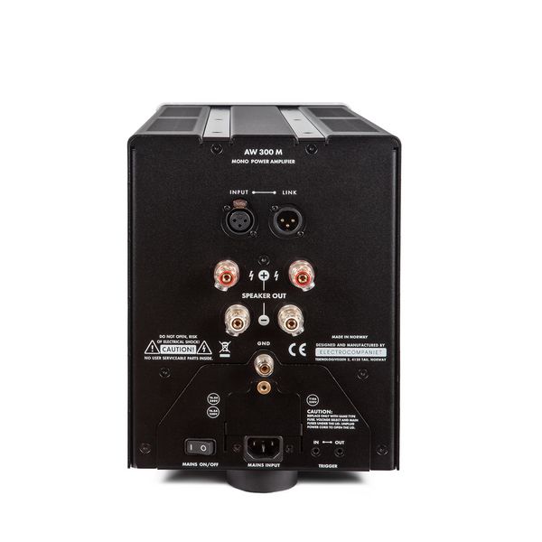 Electrocompaniet AW 300 M