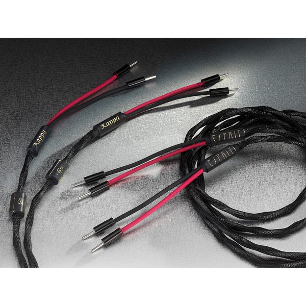 ESPRIT KAPPA SPEAKER CABLE HEAVEN AUDIO