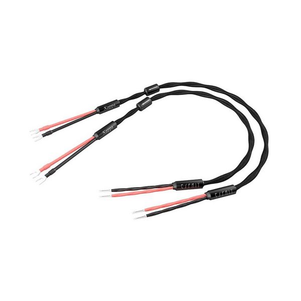 ESPRIT KAPPA SPEAKER CABLE HEAVEN AUDIO