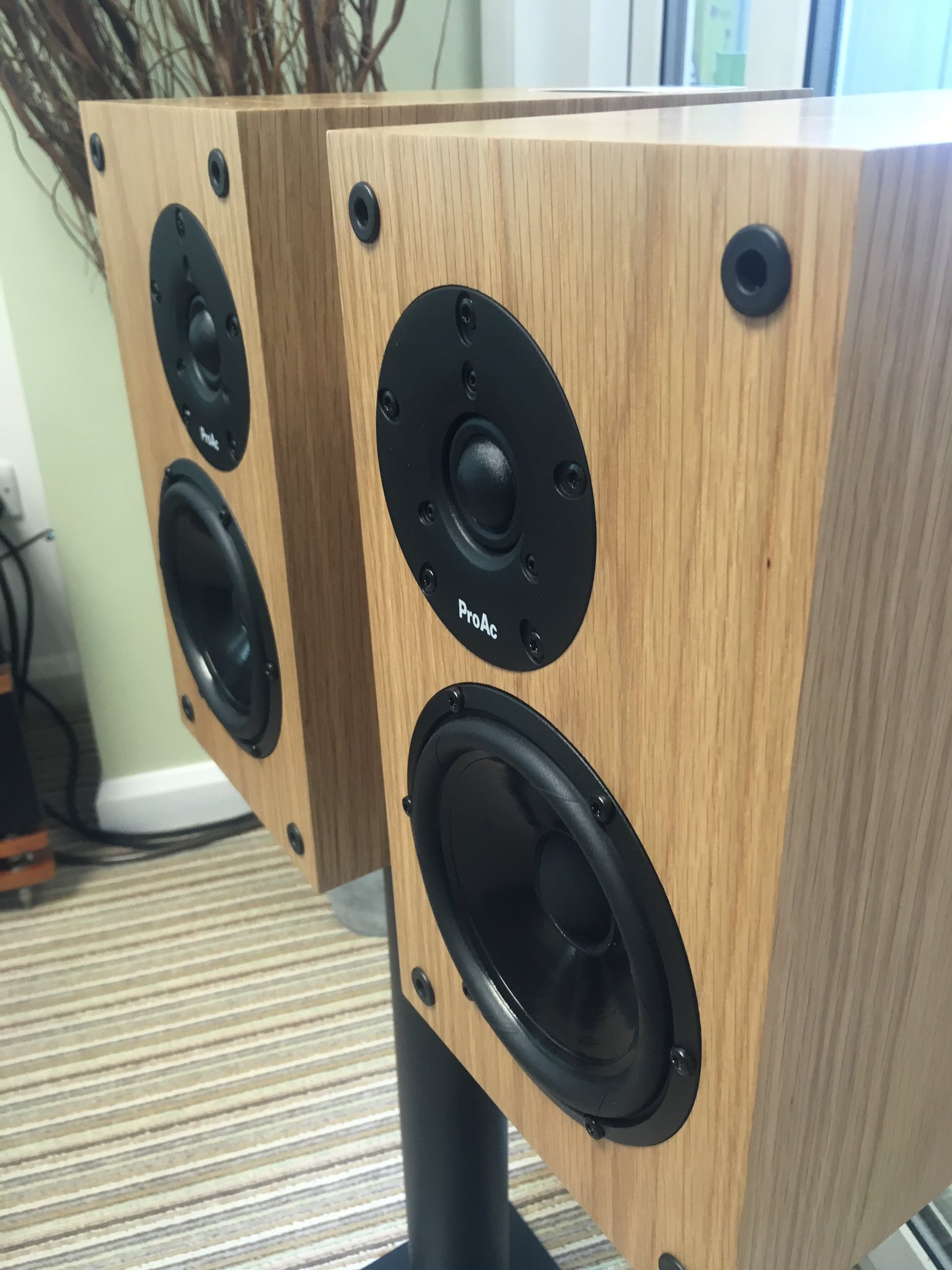 PROAC RESPONSE DB THREE -Natural oak