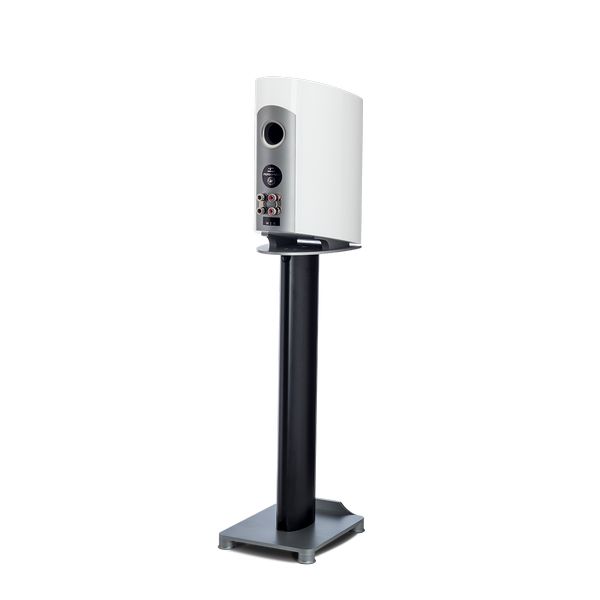 Paradigm Persona B - White