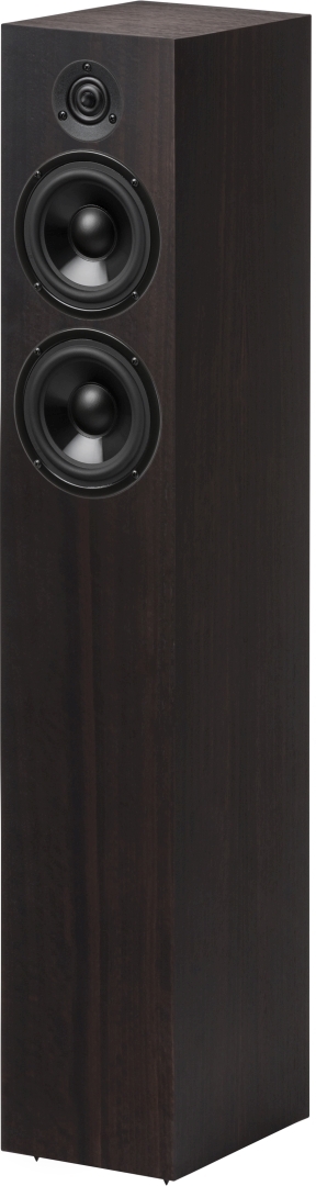 Project speaker box 10 ds2 wood