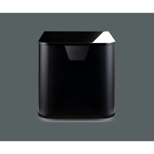 Martin Logan Depth 212