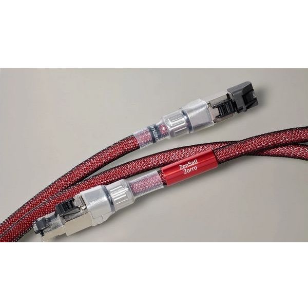 ZenSati Zorro Ethernet